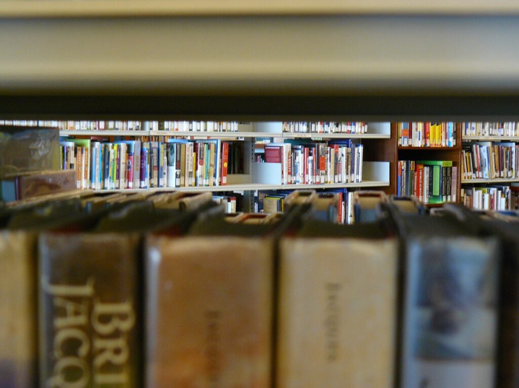 Día Internacional de las Bibliotecas: cultura, imaginación y muchas aventuras